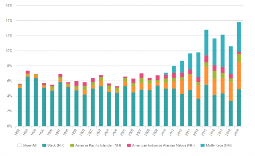 Fall Enrollment by Race