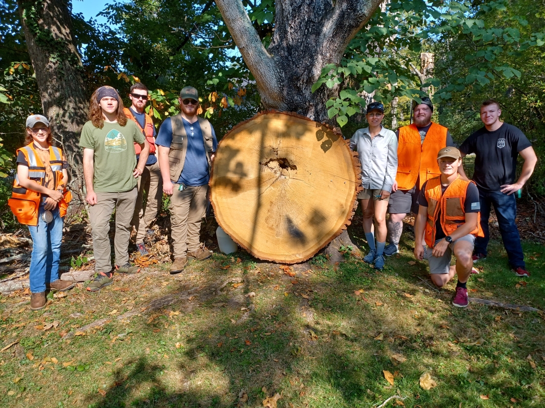 Forestry Students