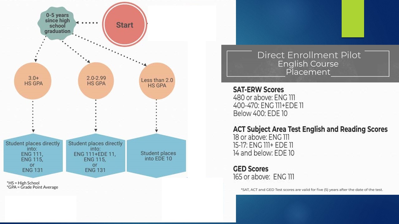 DE Pilot Program