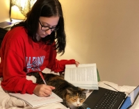 Student studying online